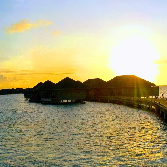 🌟🎉Posh ambassador 🎉🌟 - Picture 1 of 1